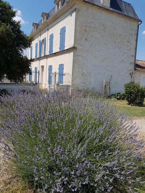 Le Domaine De Bellevue Bed & Breakfast Tanzac Dış mekan fotoğraf